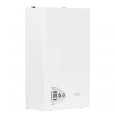 Котел газовый Ferroli Vitabel HF 24 настенный, 1 конт., закр. кам. сгор.. Бренд: Ferroli
